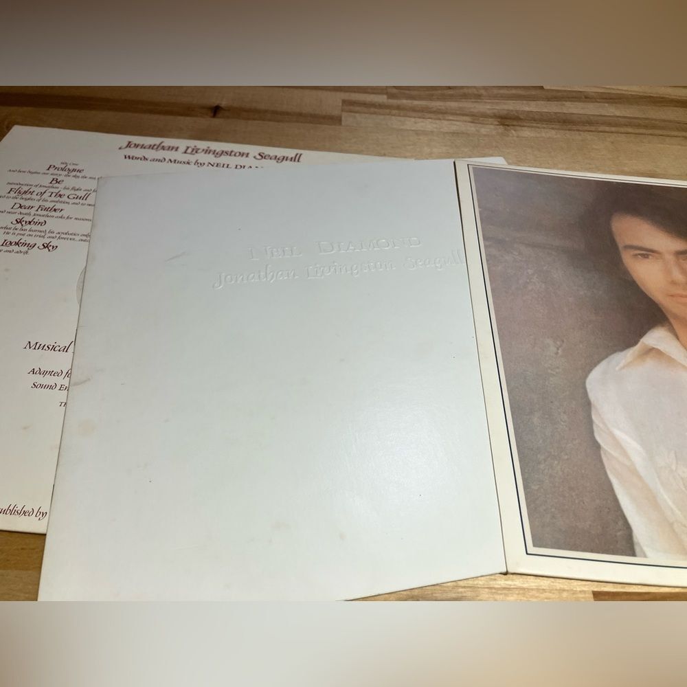 Neil Diamond vinyl record, Jonathon Livingston Seagull album, excellent shape - Picture 3 of 5